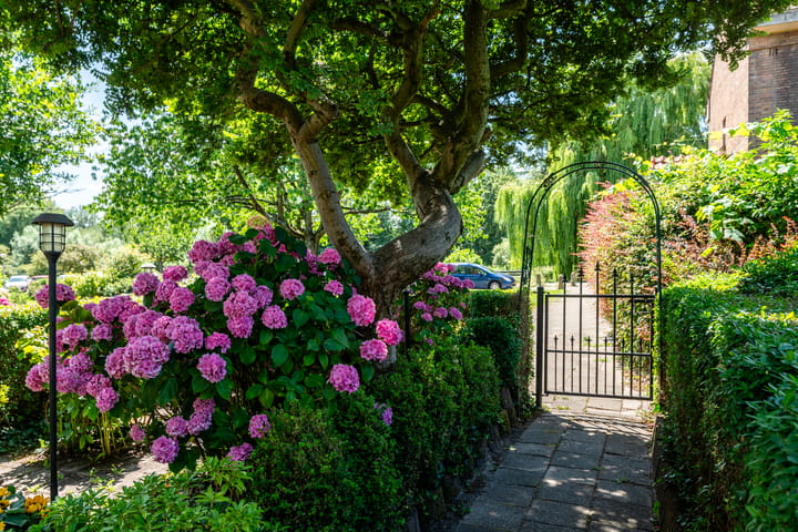 Photo 4 of Kometensingel 531