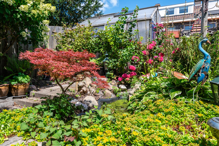 Photo 19 of Kometensingel 531