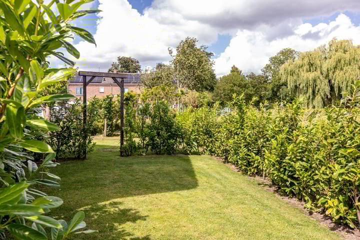 Foto 45 van Middelie 118