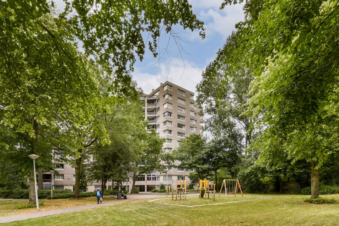 Foto 1 van Gouden Leeuw 136