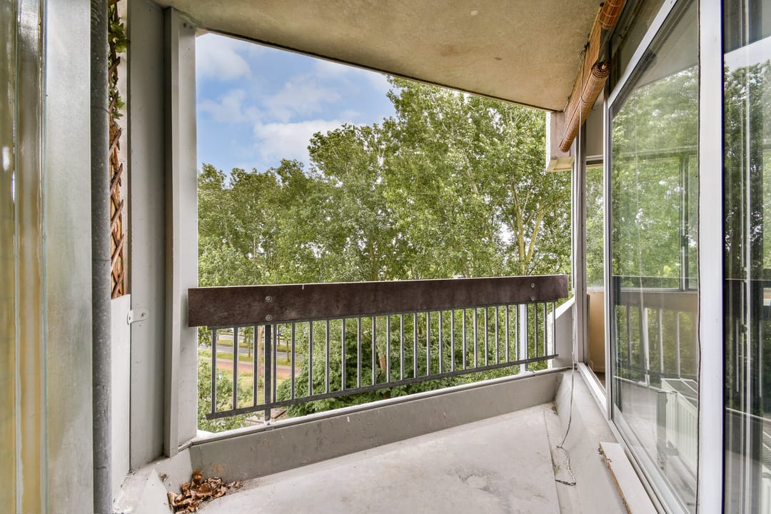 Foto 7 van Gouden Leeuw 136