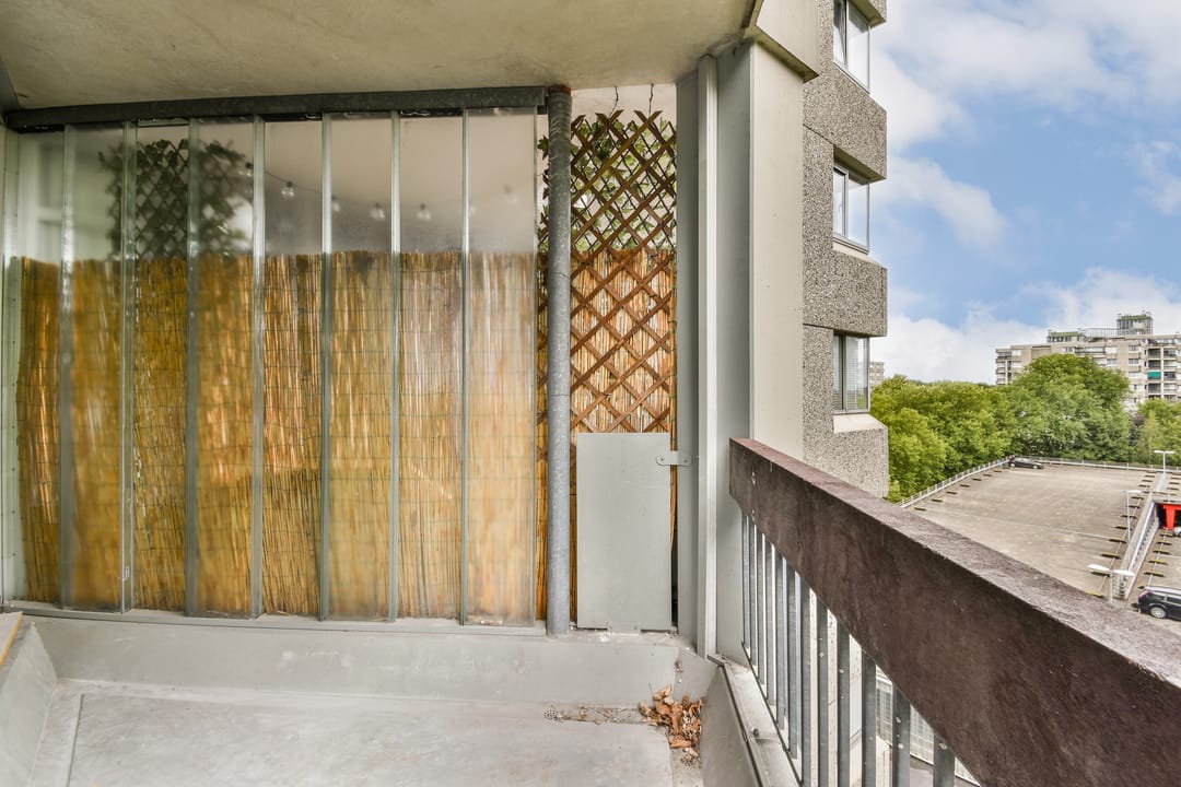 Foto 8 van Gouden Leeuw 136