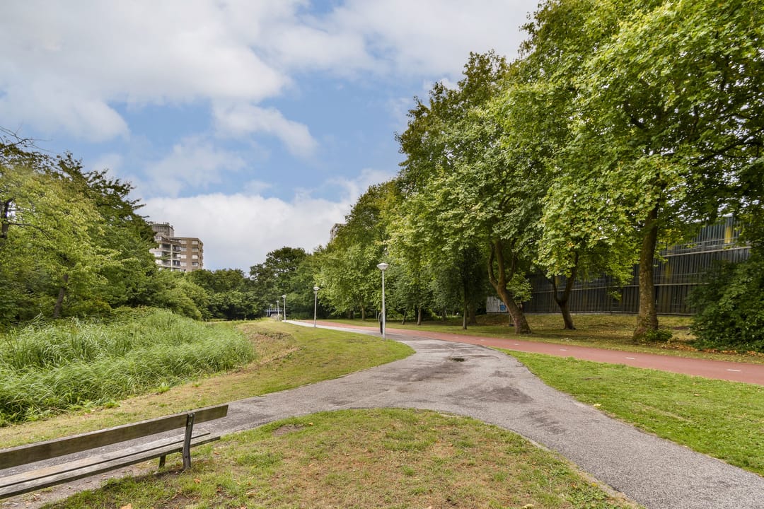 Foto 22 van Gouden Leeuw 136