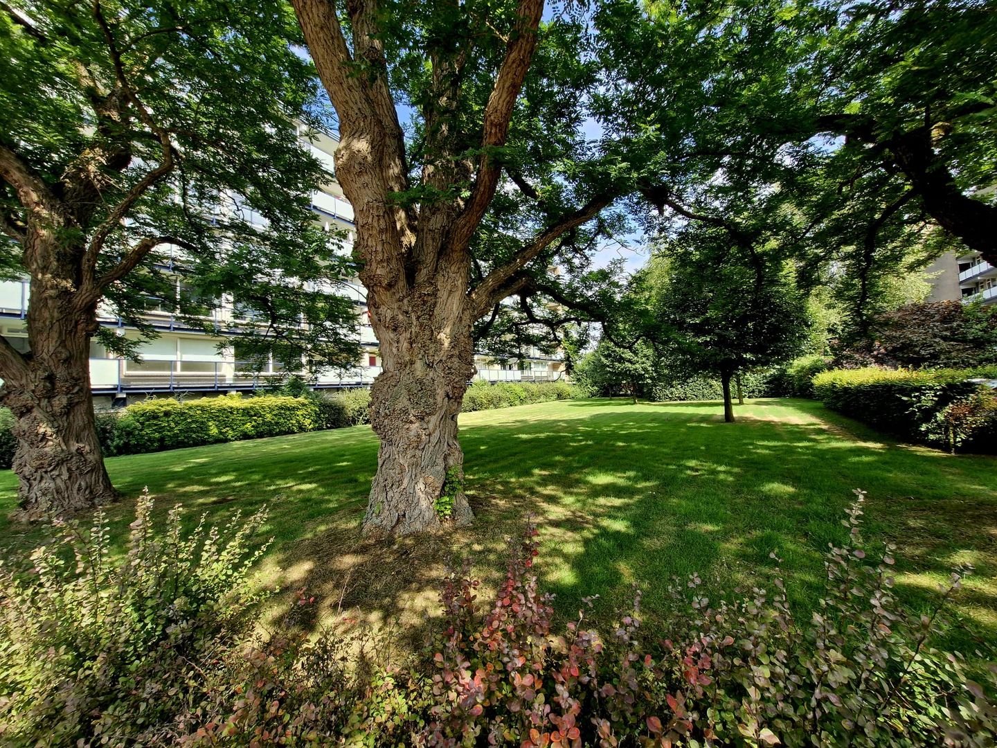 Photo 34 of Jan Janslaan 10