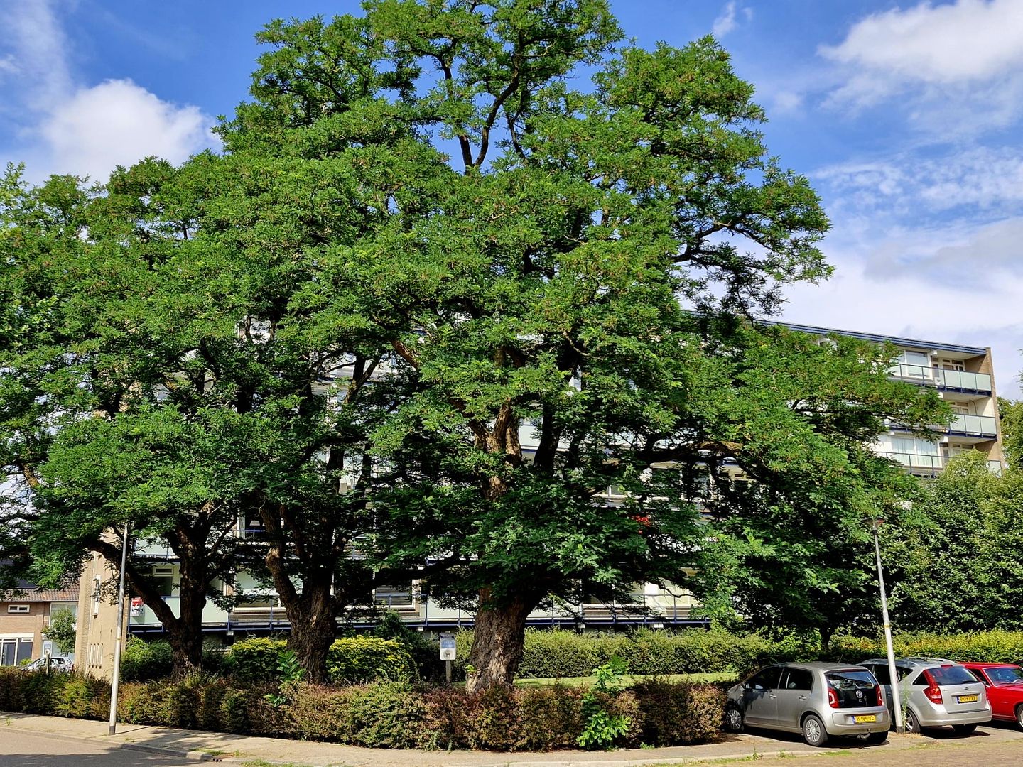 Photo 35 of Jan Janslaan 10