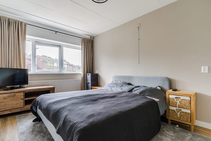 Foto 18 van Diamant 36