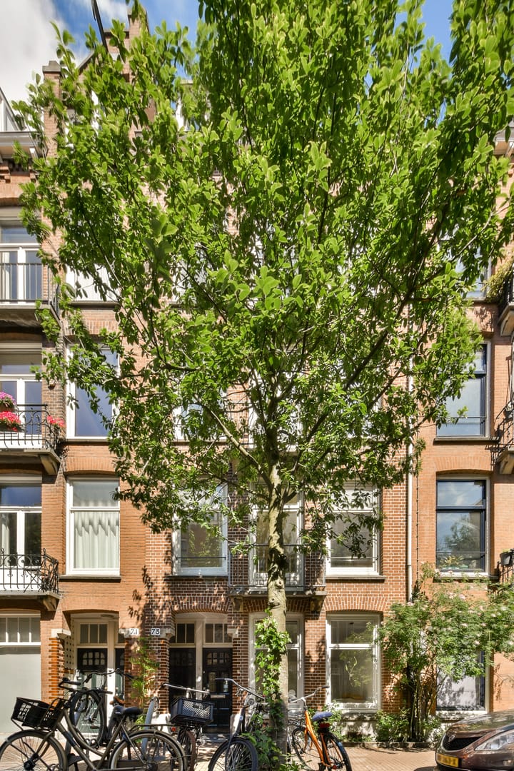 Photo 23 of Elisabeth Wolffstraat 73-2