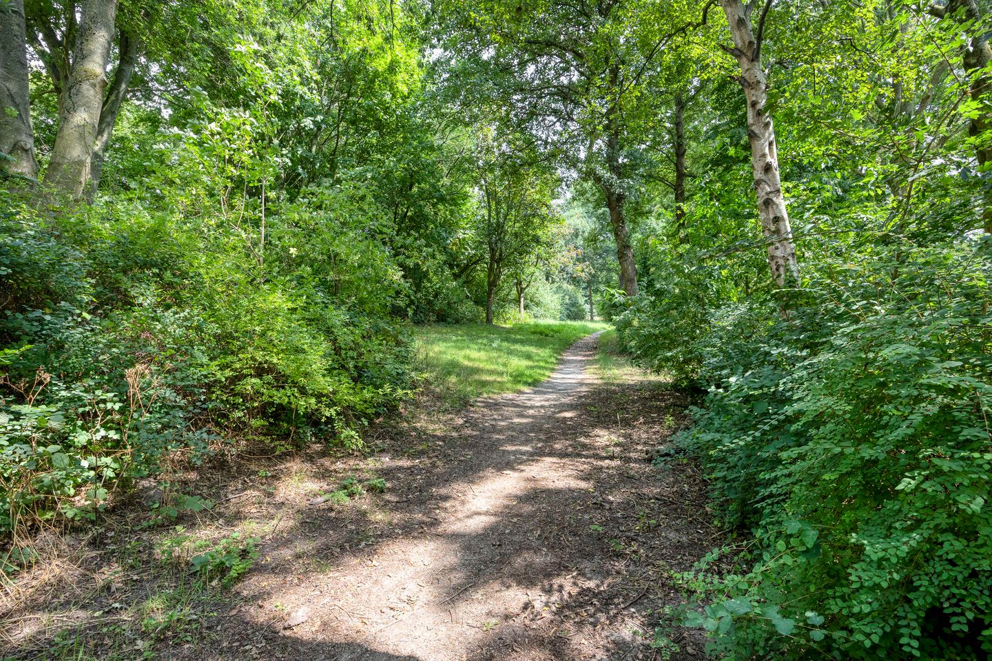 Foto 44 van Zanddijk 128