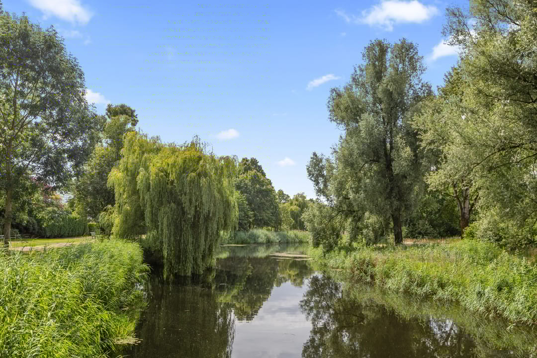 Photo 53 of Schuilenburgerweg 26