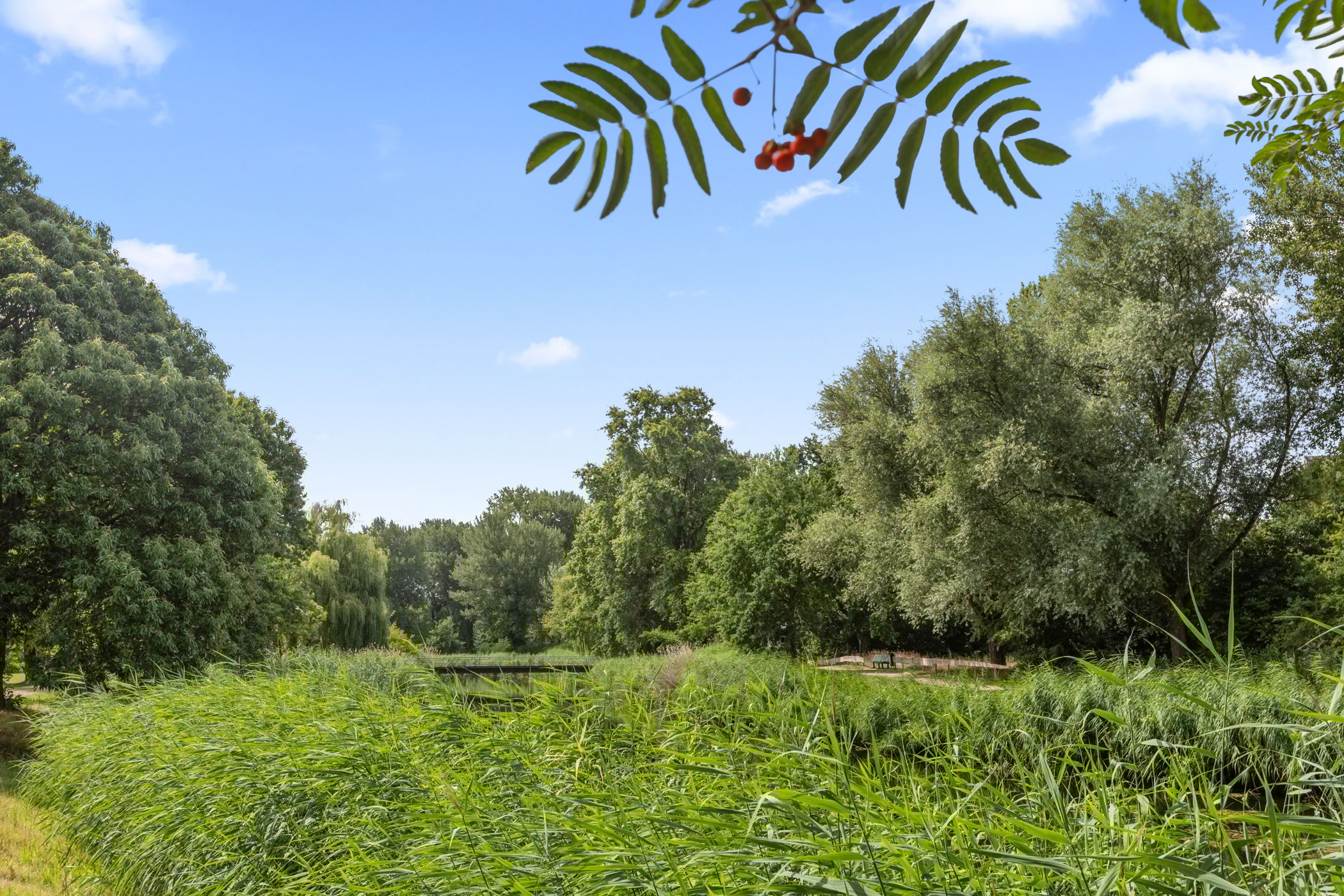 Photo 54 of Schuilenburgerweg 26