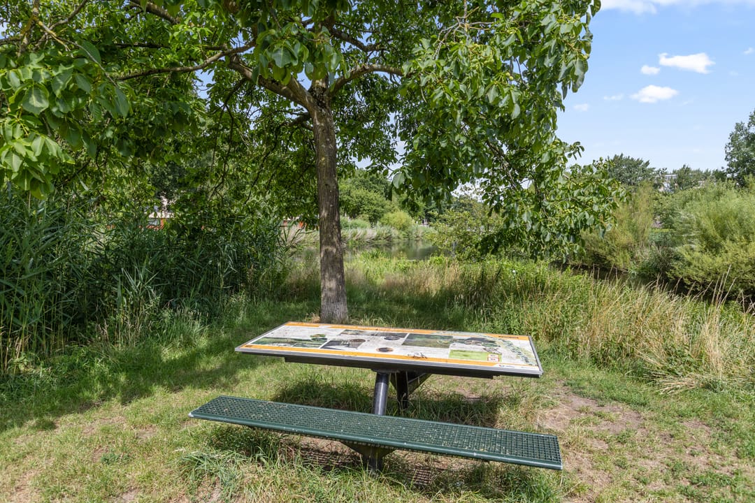 Photo 56 of Schuilenburgerweg 26