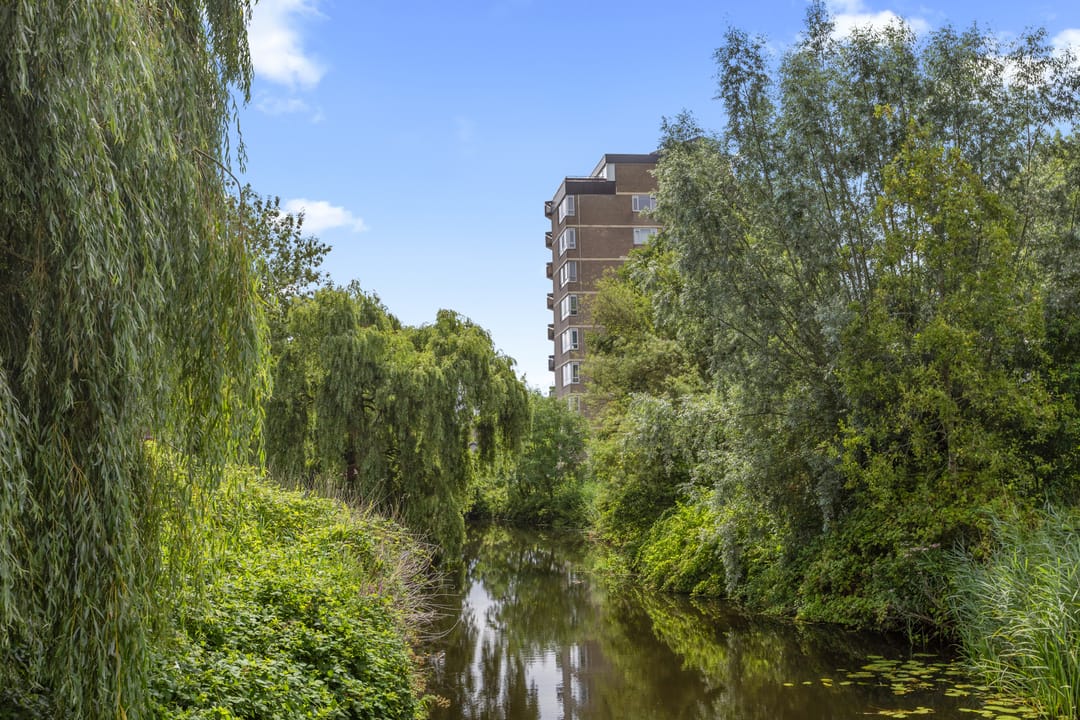 Photo 58 of Schuilenburgerweg 26