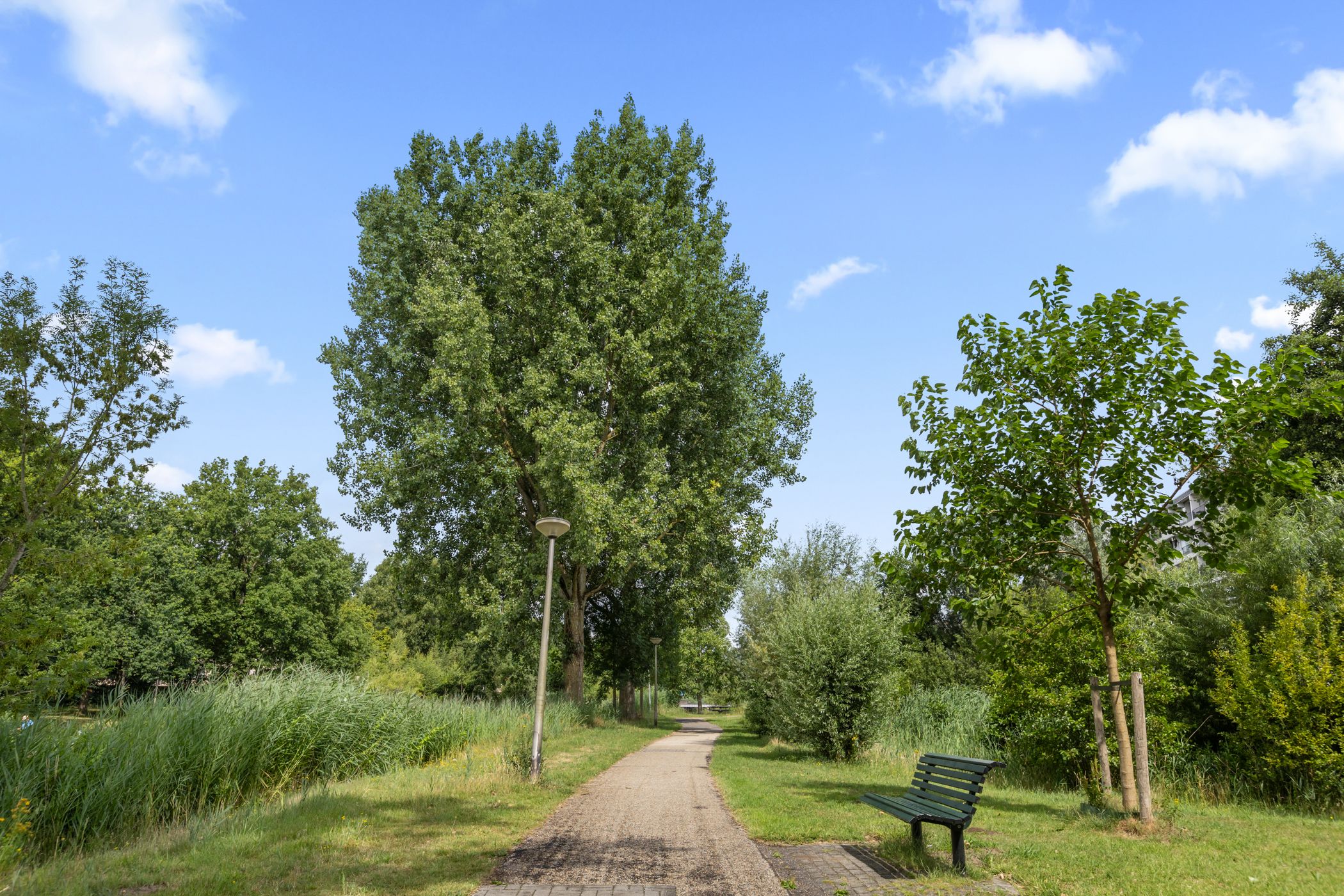 Photo 63 of Schuilenburgerweg 26