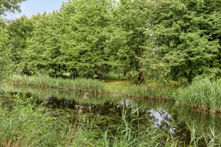 Foto 22 van Westerlengte 119