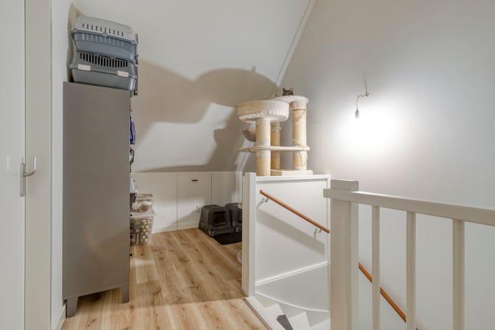 Photo 17 of Johan de Wittstraat 38