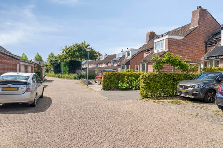 Foto 4 van Jan van Eijckhof 7