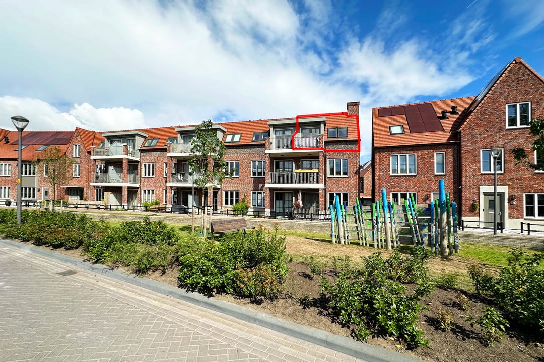 Foto 1 van Ebbenhout 40-F