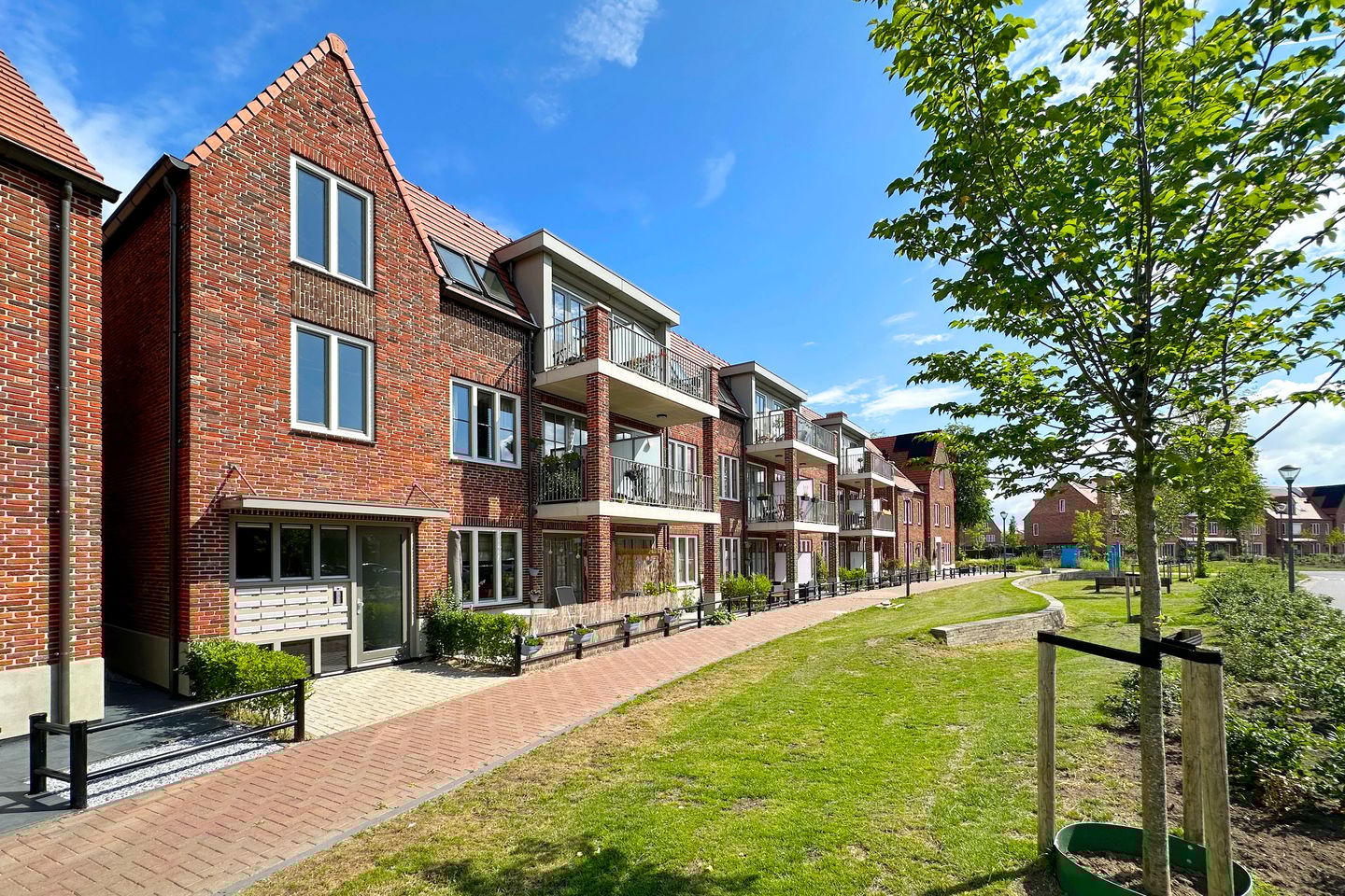 Foto 4 van Ebbenhout 40-F