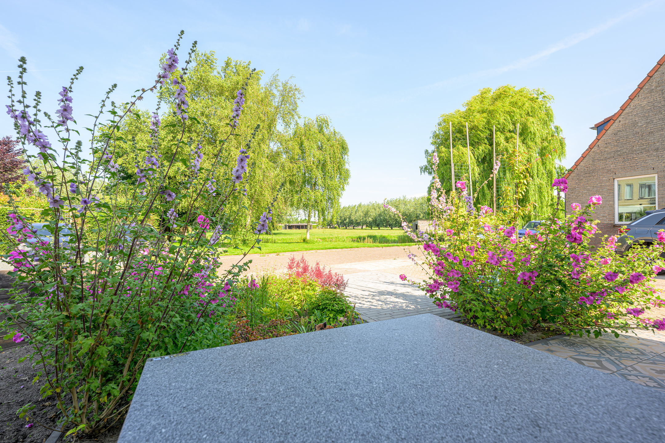 Foto 33 van Hornven 4