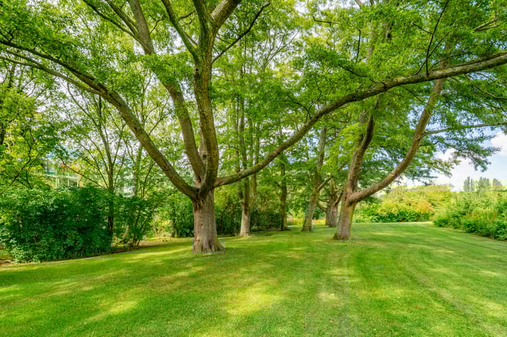 Foto 45 van Tiengemeten 185