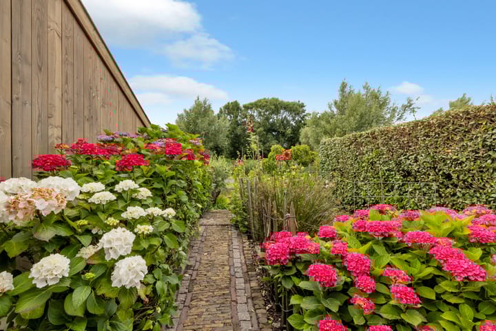 Photo 70 of Zwanenbalg 1519