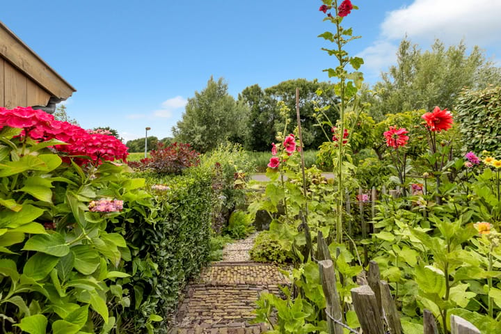 Photo 71 of Zwanenbalg 1519