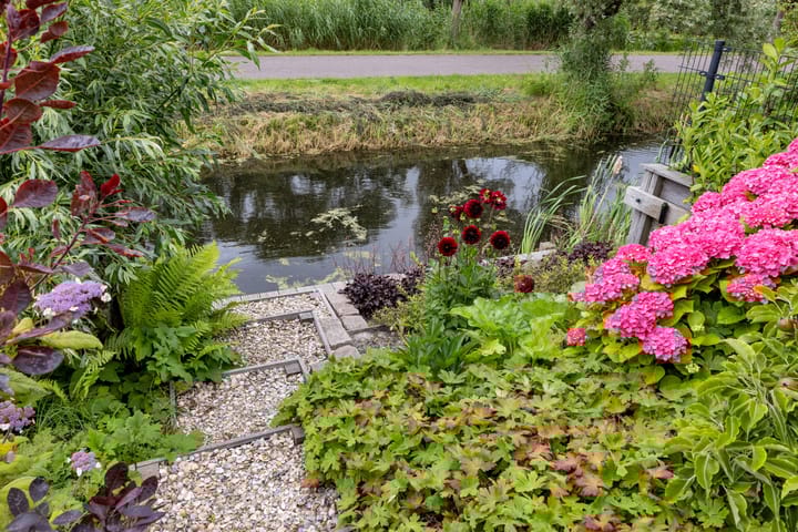 Photo 72 of Zwanenbalg 1519