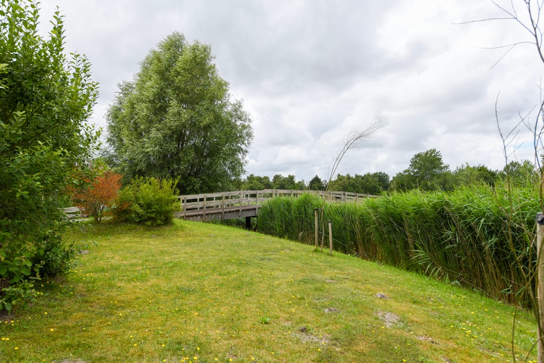 Photo 32 of De Rug 3-047