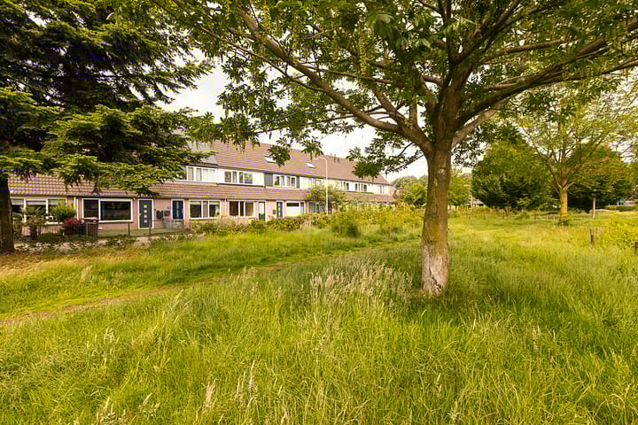 Foto 24 van Van der Goesstraat 12