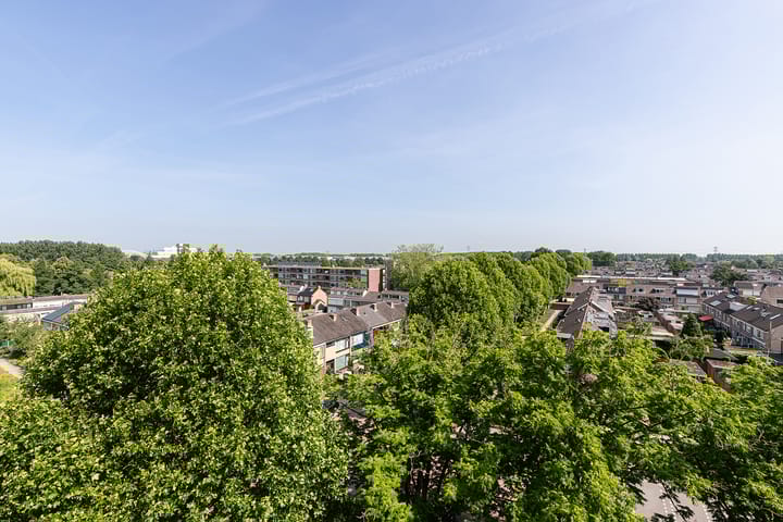 Foto 16 van Jacob van Ruysdaelstraat 28