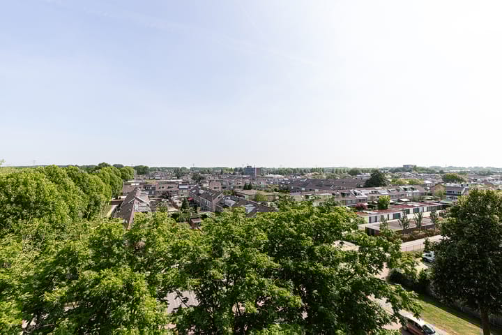 Foto 17 van Jacob van Ruysdaelstraat 28