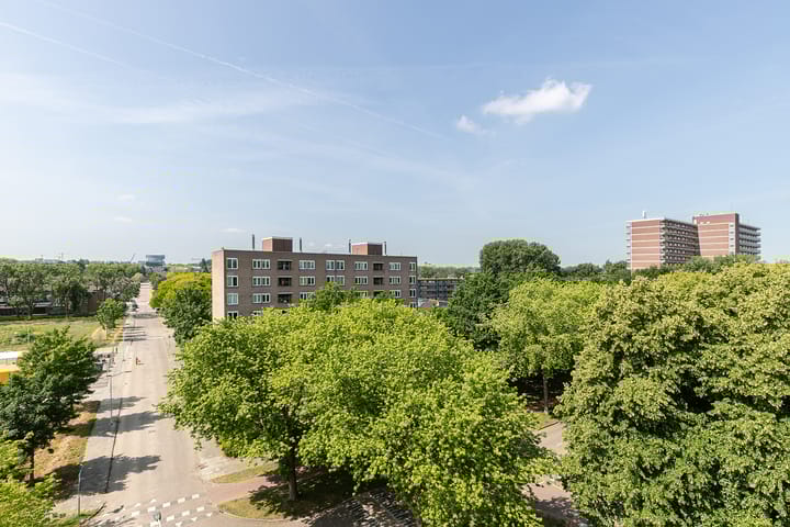 Foto 27 van Jacob van Ruysdaelstraat 28