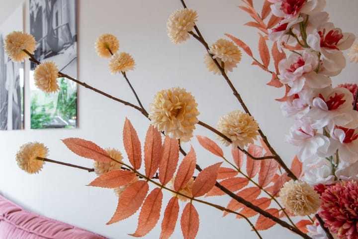 Foto 16 van Anna van Hensbeeksingel 202