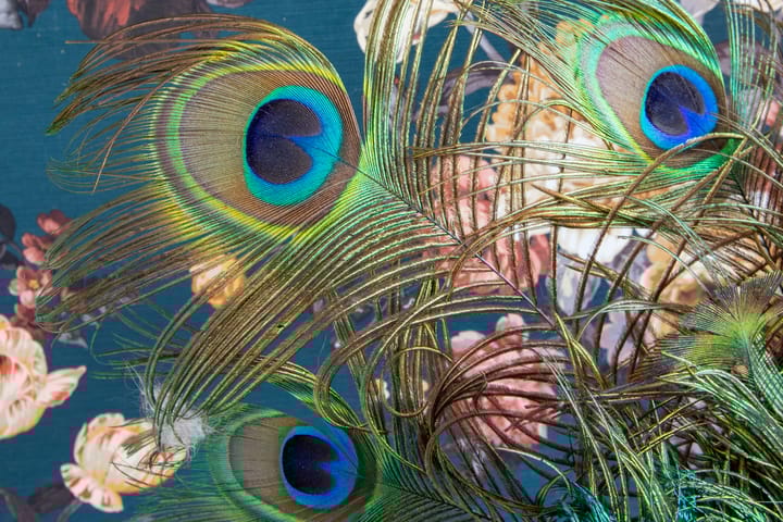 Foto 31 van Anna van Hensbeeksingel 202