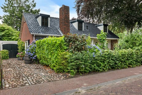 undefined main image