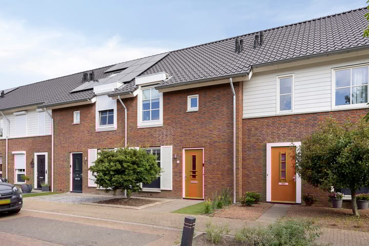 Foto 7 van Knelisroos 7