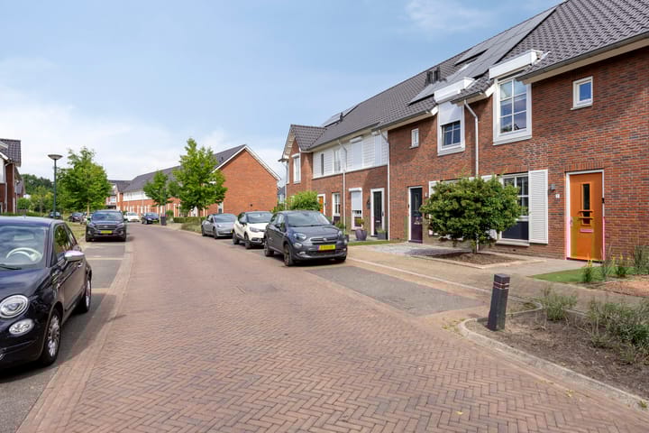 Foto 8 van Knelisroos 7