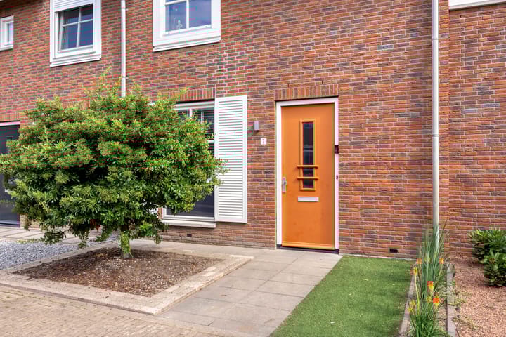 Foto 10 van Knelisroos 7