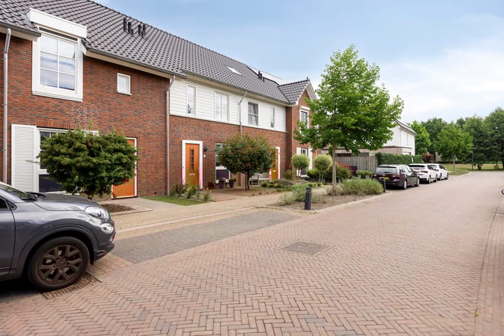 Foto 9 van Knelisroos 7