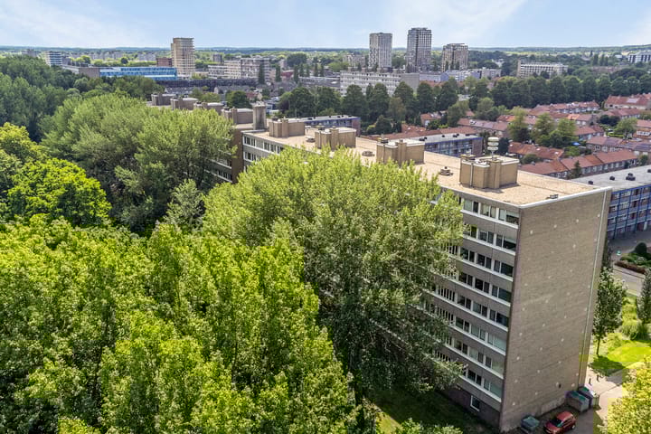 Photo 33 of Trekvogelweg 225