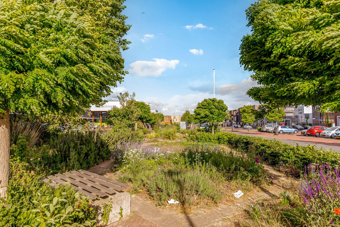 Foto 35 van Homerusplein 100