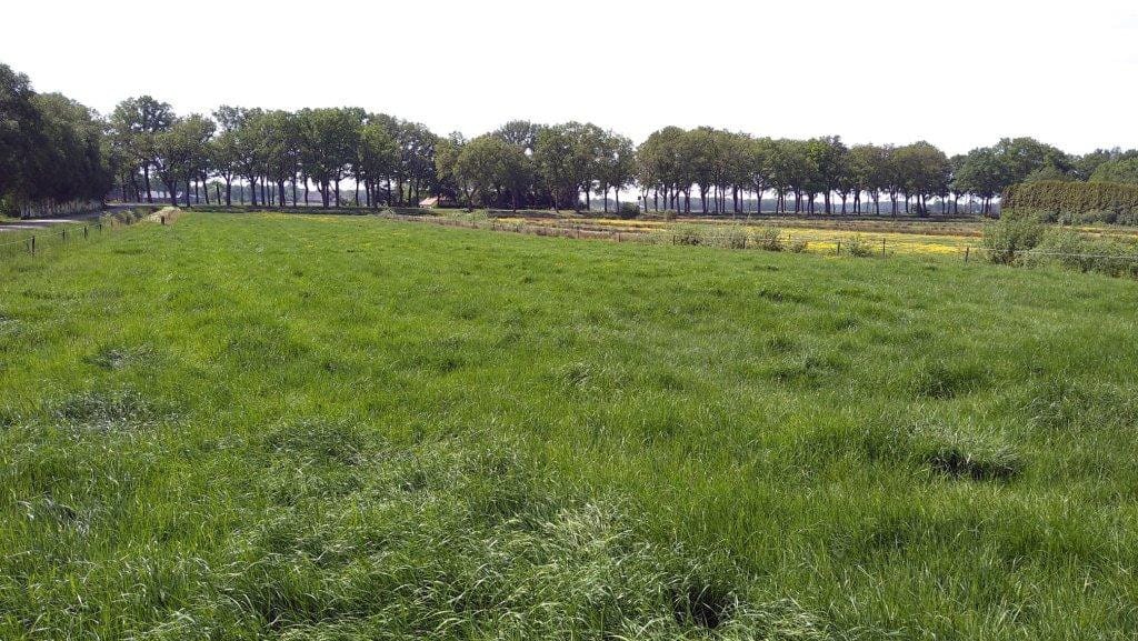 Foto 8 van Kanaal N.Z. 2