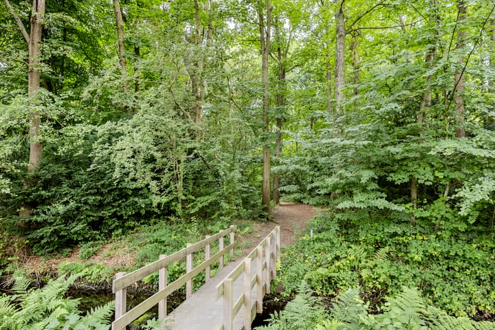 Foto 48 van Ruïnelaan 17