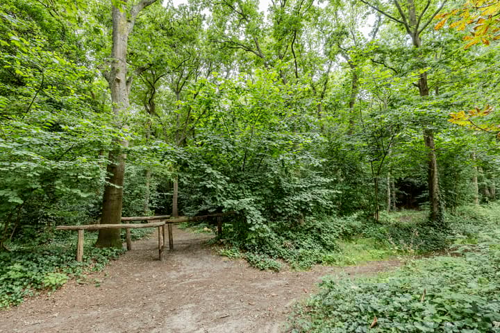 Foto 49 van Ruïnelaan 17