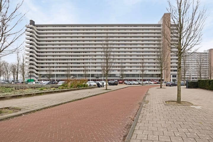 Photo 6 of Burgemeester Hogguerstraat 783