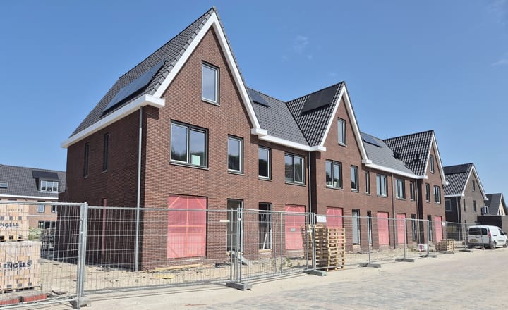 Foto 3 van Waterlelie 8