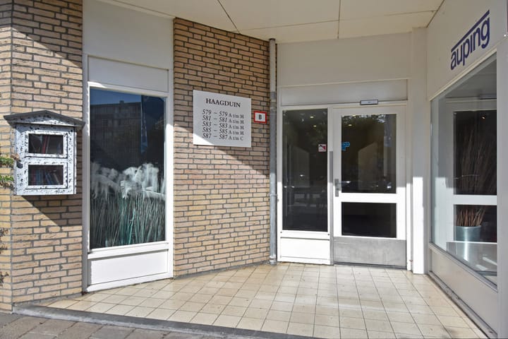 Foto 5 van Oude Haagweg 583-D