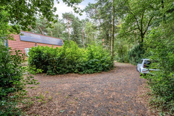 Foto 3 van Calluna Oost 45