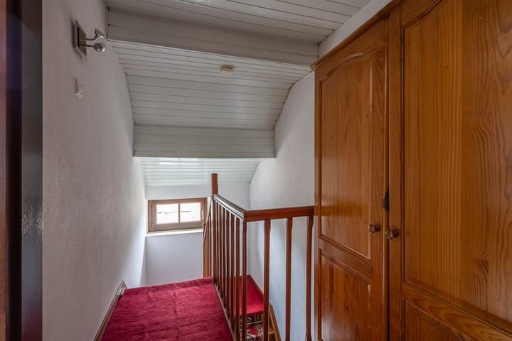 Foto 20 van Theresiastraat 20