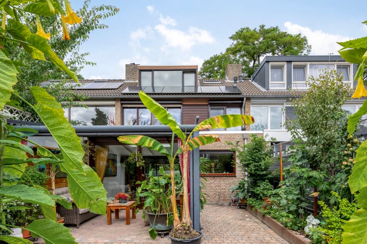 Foto 33 van Pieter Zeemanstraat 19